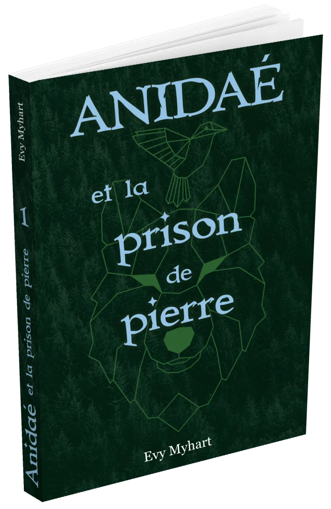 Mockup roman fantasy, Anidaé tome 1